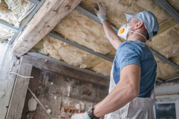 Best Insulation Installation Services in Meadow Lake, NM
